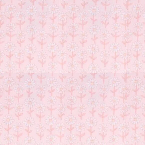 Devan - Picture 2 of 2